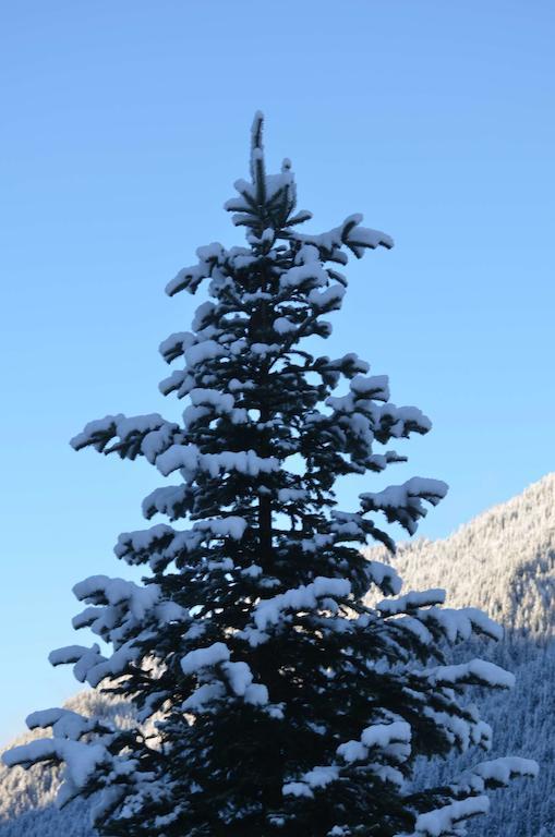 Haus Kargruber Διαμέρισμα Santa Maddalena in Casies Εξωτερικό φωτογραφία